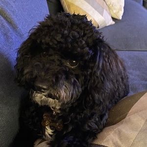 Meet your Posher, Marla